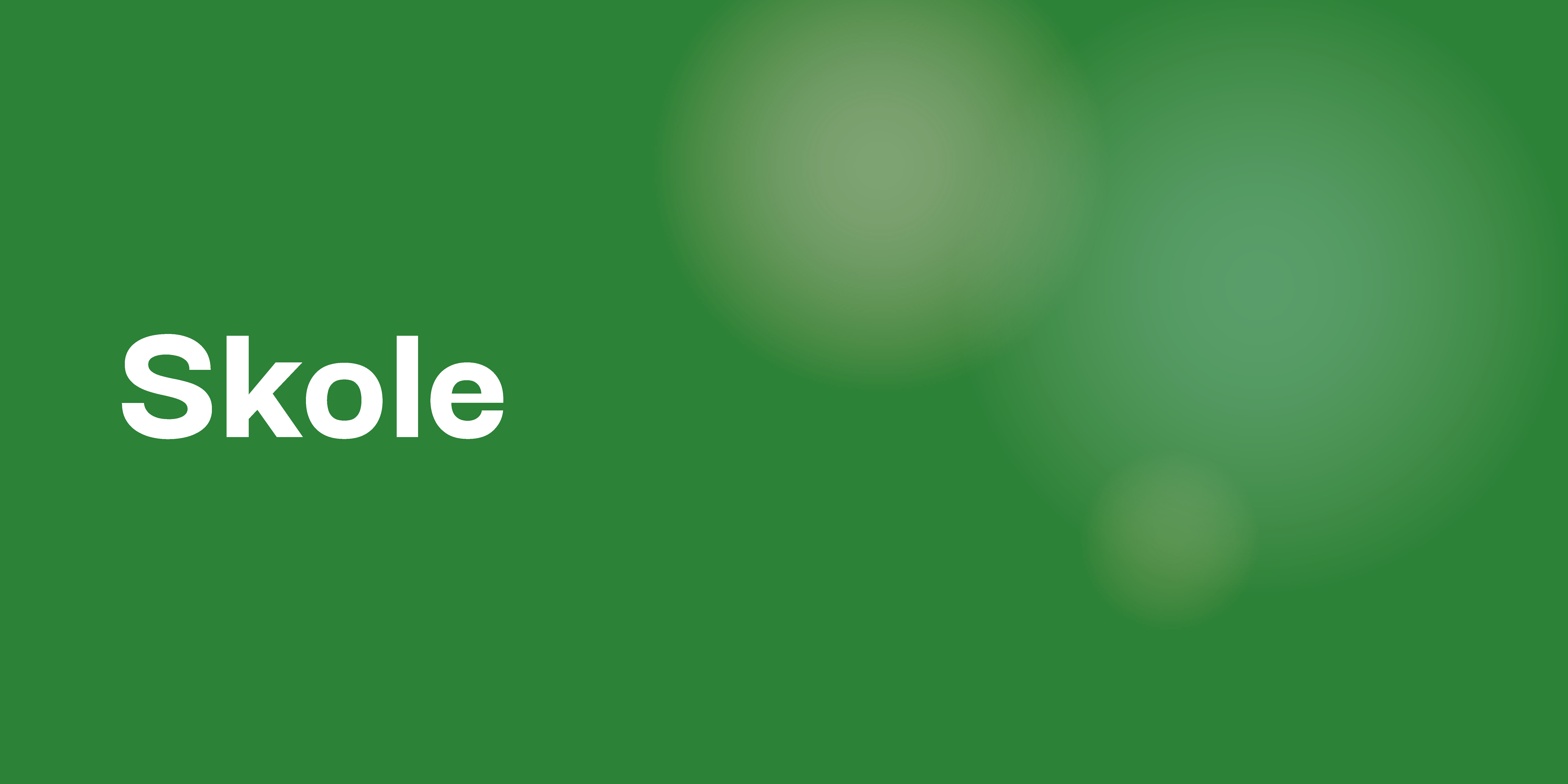 Skole
